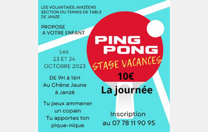 PING PONG Stage vacances