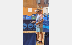 Bilan de la journée ping virtuel